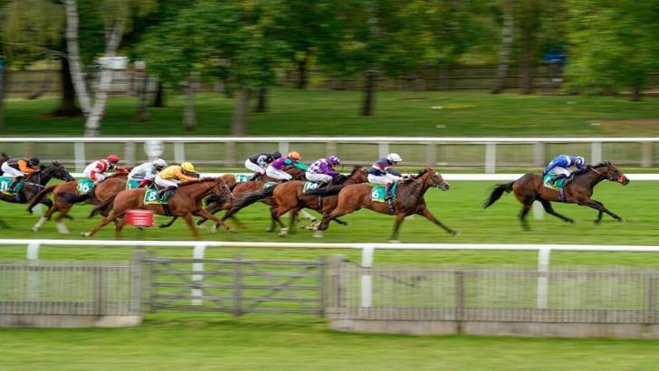 Newmarket racecourse